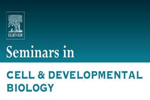 Seminars in Cell & Developmental Biology的审稿流程是怎样的？