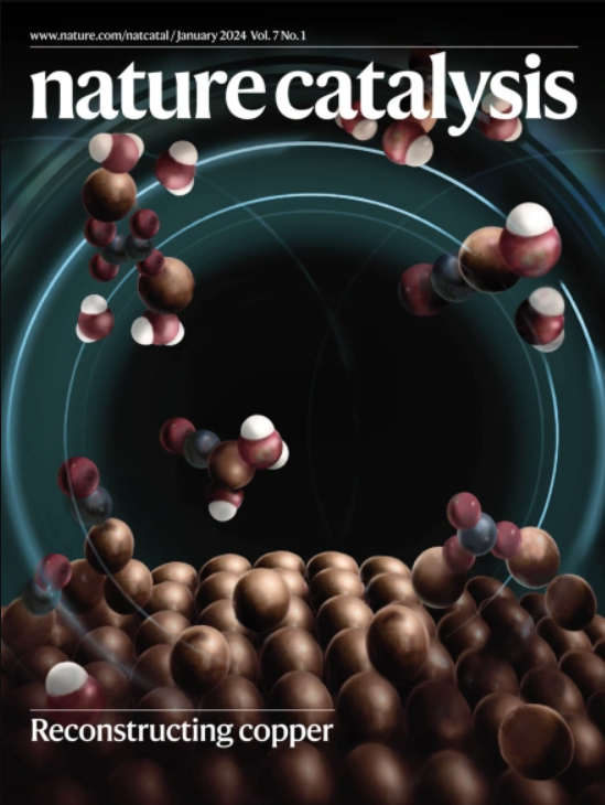 Nature Catalysis