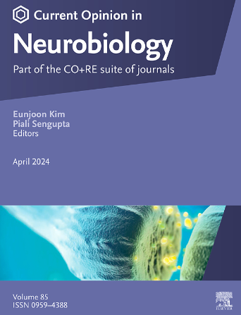 Curr. Opin. Neurobiol.