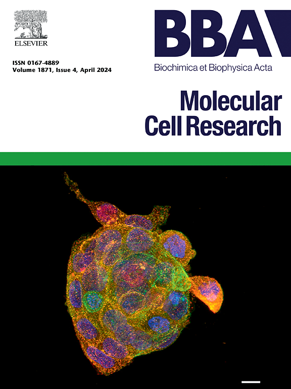 Biochimica et biophysica acta. Molecular cell research