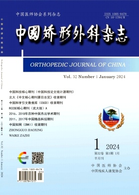 中国矫形外科杂志