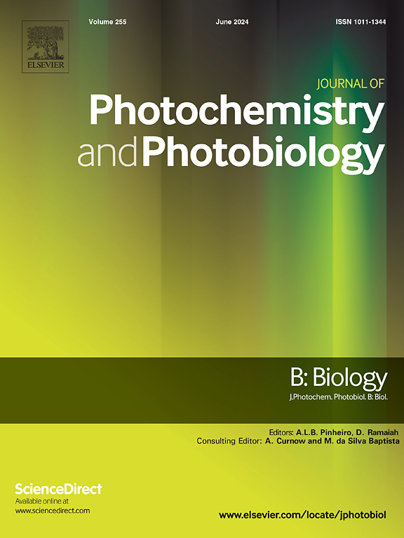 Journal of photochemistry and photobiology. B, Biology