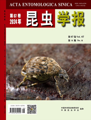 昆虫学报