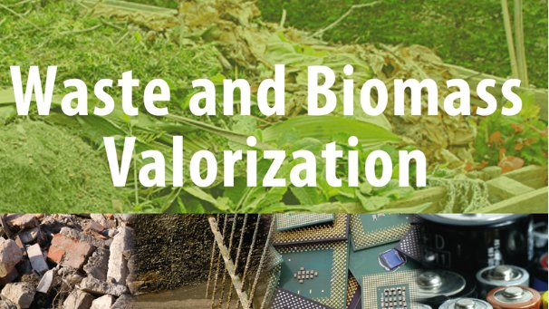 Waste Biomass Valorization