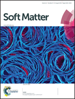 Soft Matter