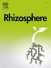 RHIZOSPHERE-NETH