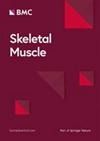 SKELET MUSCLE