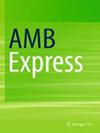 AMB EXPRESS