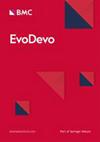 EVODEVO