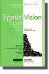 SPATIAL VISION