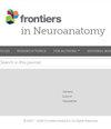 Frontiers in Neuroanatomy