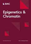 Epigenet. Chromatin