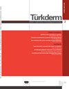 TURKDERM-ARCH TURK D