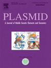 PLASMID