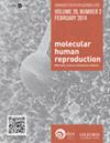 Molecular human reproduction