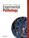 International Journal of Experimental Pathology