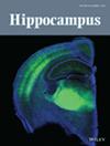 HIPPOCAMPUS