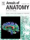 Annals of Anatomy-Anatomischer Anzeiger