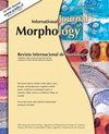 Int. J. Morphol.