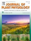 J. Plant Physiol.