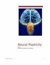 Neural Plasticity