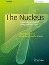 Nucleus (India)