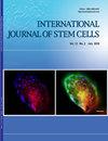 International journal of stem cells