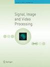 SIGNAL IMAGE VIDEO P