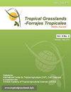 Tropical Grasslands