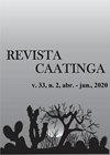 REV CAATINGA