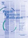 Protein expression and purification