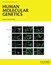 Human molecular genetics