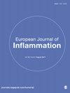 EUR J INFLAMM