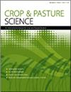 CROP PASTURE SCI