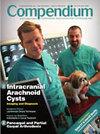 Compendium-Continuing Education for Veterinarians