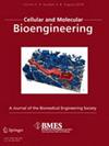 Cellular and molecular bioengineering