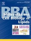 BBA-MOL CELL BIOL L