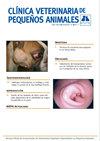 Clinica Veterinaria De Pequenos Animales