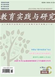教育实践与研究:理论版(C)