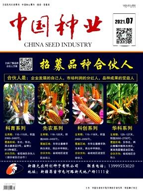 中国种业