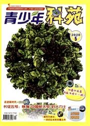 青少年科苑