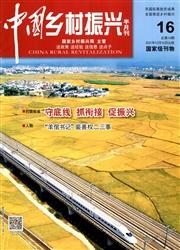 中国乡村振兴