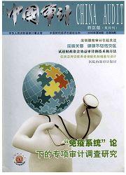 中国审计:特区版