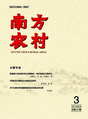 南方农村