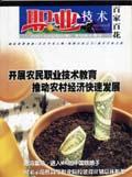 职业技术(下半月)