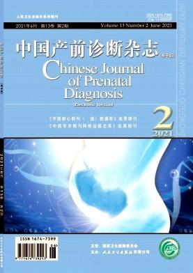 中国产前诊断杂志(电子版)