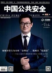 中国公共安全