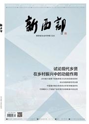 新西部:中旬·理论