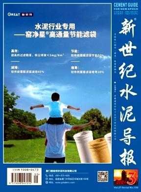 新世纪水泥导报