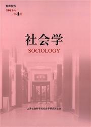 社会学(智库报告)
